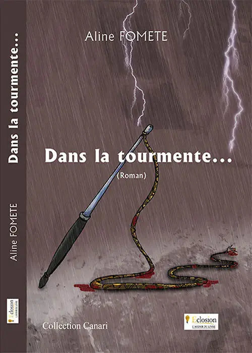 Dans la tourmente – Témoignage de violences faites aux femmes en Afrique
