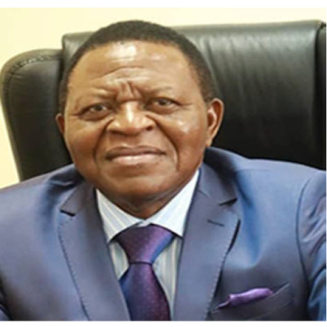 Pratique des fondamentaux du développement optimal par l’Afrique. De l’Afro-pessimisme à l’Afro-optimisme