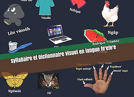 Syllabaire et dictionnaire visuel en langue fè’éfě’è – Apprentissage de l’écriture bamiléké