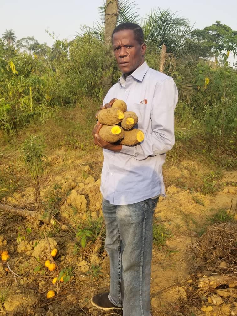 Hamburger c’est quoi ? Tome I – 7 clés pour réussir sa vie jeune